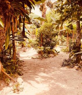 Mompiche Casa | La Caleta
