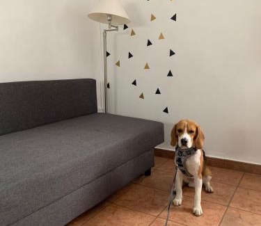 Hervas Apartamento | La Calleja