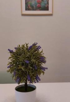 Altavilla Milicia Apartamento | La Casa All'Angolo