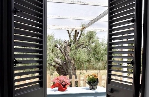 Marsala Casa | La Casa Andre