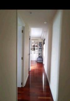 Leon Apartamento | La casa curiosa