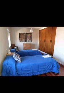 Leon Apartamento | La casa curiosa