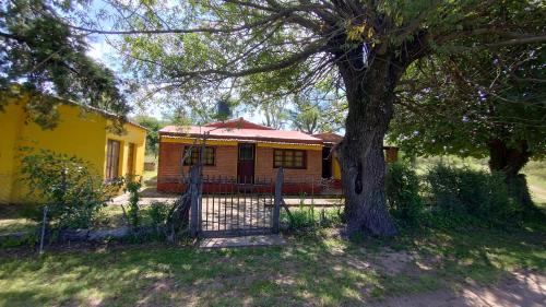 Ischilin Casa | La casa de David