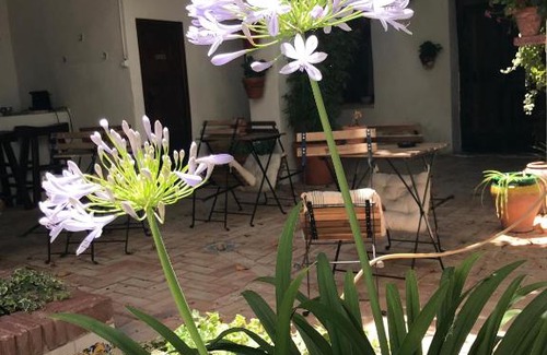 Villena Casa | La Casa de Félix