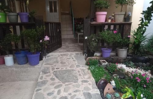 Zacatlán Apartamento | La casa de las flores