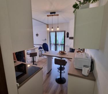 Ravascletto Apartamento | La Casa degli Sbilfs - Wi-Fi, Netflix e Garage Box , a 2 minuti dallo Zoncolan