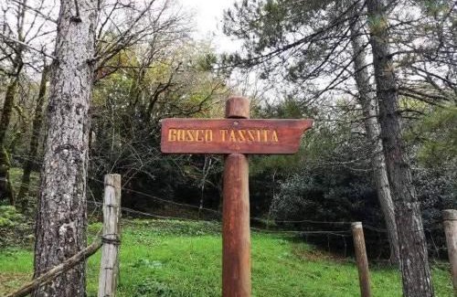 Caronia Casa | La casa dei nonni
