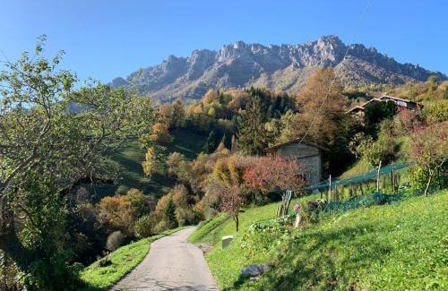 Camerata Cornello Casa | La casa del bosco