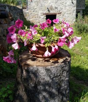 Piazza al Serchio Casa | La casa del girasole