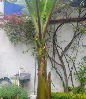 Santa Catarina Apartamento | La casa del Jardín