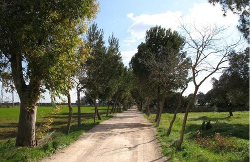 Oria Casa | La Casa Del Massaro