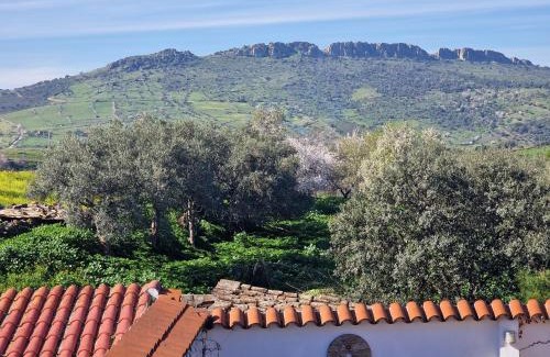 Centro histórico de Zafra Apartamento | La casa del patio ATBA00260