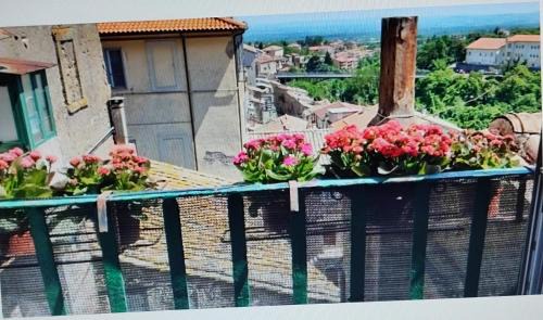Caprarola Apartamento | La Casa del Sole