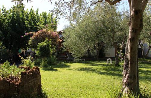 Mitogio Casa | La Casa Dell'antiquario