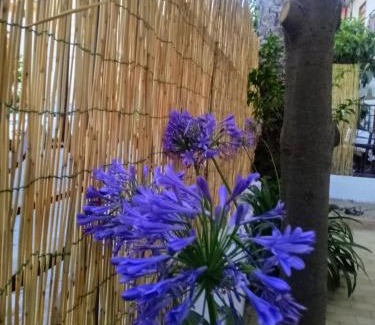 Marina di Patti Casa | La casa di Anna