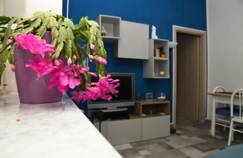 Sapri Casa | La Casa di Ermelinda