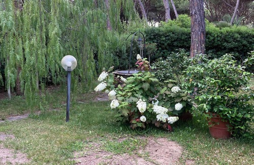 Principina a Mare Apartamento | La Casa di Mishka