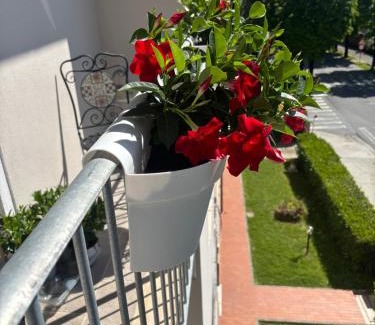 Pisa Apartamento | La casa di Nana’