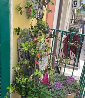 Mola di Bari Casa | La Casa di Nonna Sisina