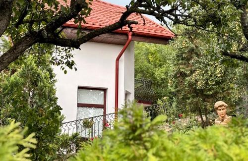 Ghioroc Casa | La casa di Oliver