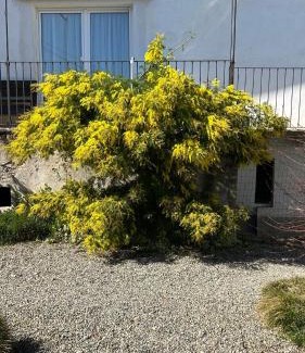 Cerrione Casa | La Casa di Pietro