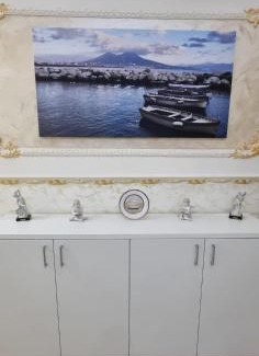 Torre Annunziata Casa | La Casa di Poppea-View of Vesuvius