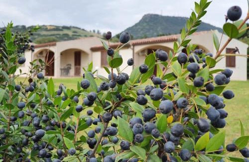 La Ciaccia Apartamento | La Casa di Spinosella
