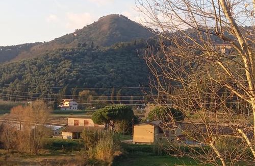 Massarosa Casa | La casa di Zeno