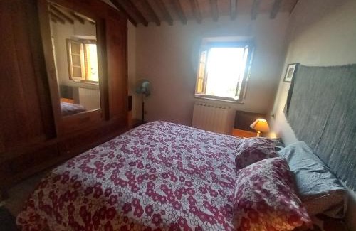 Massarosa Casa | La casa di Zeno