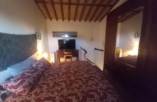 Massarosa Casa | La casa di Zeno