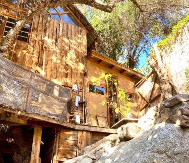 Monte Grande Casa | La Casa entre los Árboles en el Valle de Elqui Montegrande