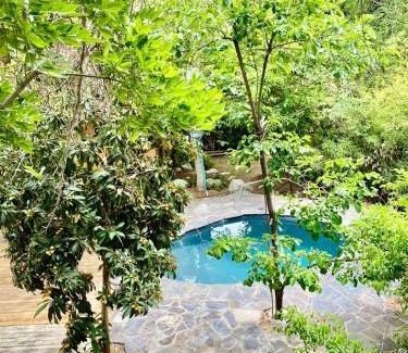 Monte Grande Casa | La Casa entre los Árboles en el Valle de Elqui Montegrande