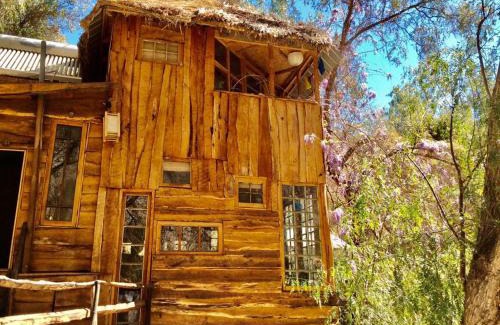 Monte Grande Casa | La Casa entre los Árboles en el Valle de Elqui Montegrande