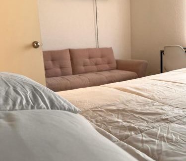 Ayala Casa | La casa frente a la alberca