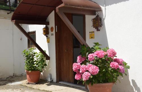 Celico Cabina | La casa nel bosco