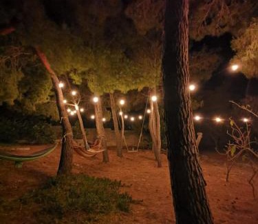 Pizzo Apartamento | La Casa Nella Pineta - Gallipoli