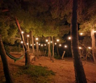 Pizzo Apartamento | La Casa Nella Pineta - Gallipoli