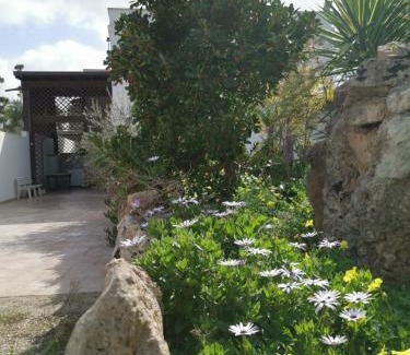 Pizzo Apartamento | La Casa Nella Pineta - Gallipoli