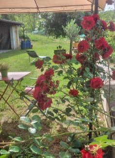Cartosio Casa | La Casa Rossa -Dimora di campagna