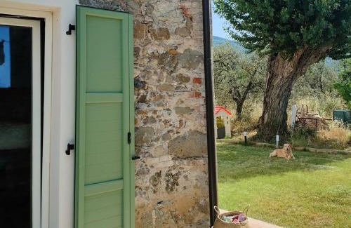 Borghetto-melara Cama Y Desayuno | La Casa Vecchia Bed&Breakfast
