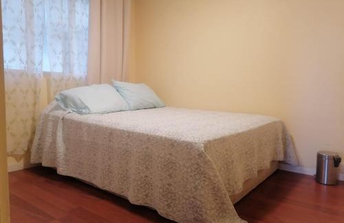 Vina del Mar Casa | La casa y el árbol