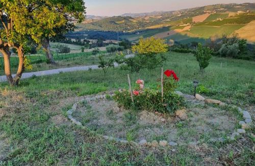 Montedinove Apartamento | La Casetta al Sole