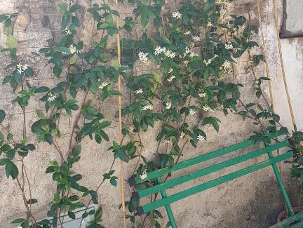 Poggio Bustone Apartamento | La casetta del Pellegrino