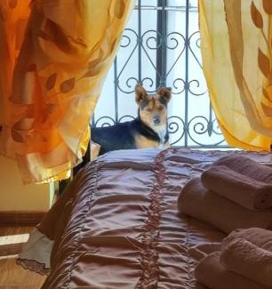 Caramanico Terme Casa | La casetta della nonna