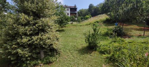 Roburent Apartamento | La Casetta in Codevilla - Roburent