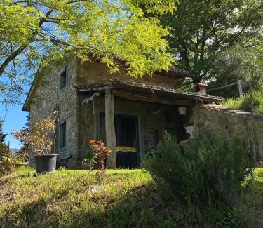 Vicchio Chalet De Esquí | la Casetta Nel Bosco Feel the nature