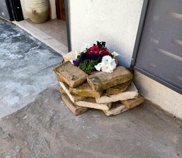 Montenero di Bisaccia Apartamento | La casina di Alicia