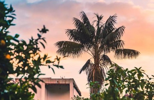 Telde Casa | La Casita de Las Naranjas