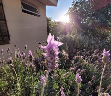 Argüello Apartamento | La casita del colibri