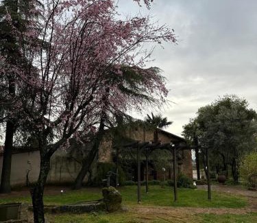 Torremenga Casa | La Casona De Jaraiz